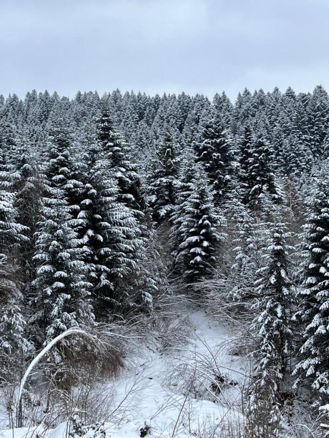 Belvedere-Karpaty-Panorama Skhidnytsia Exterior foto